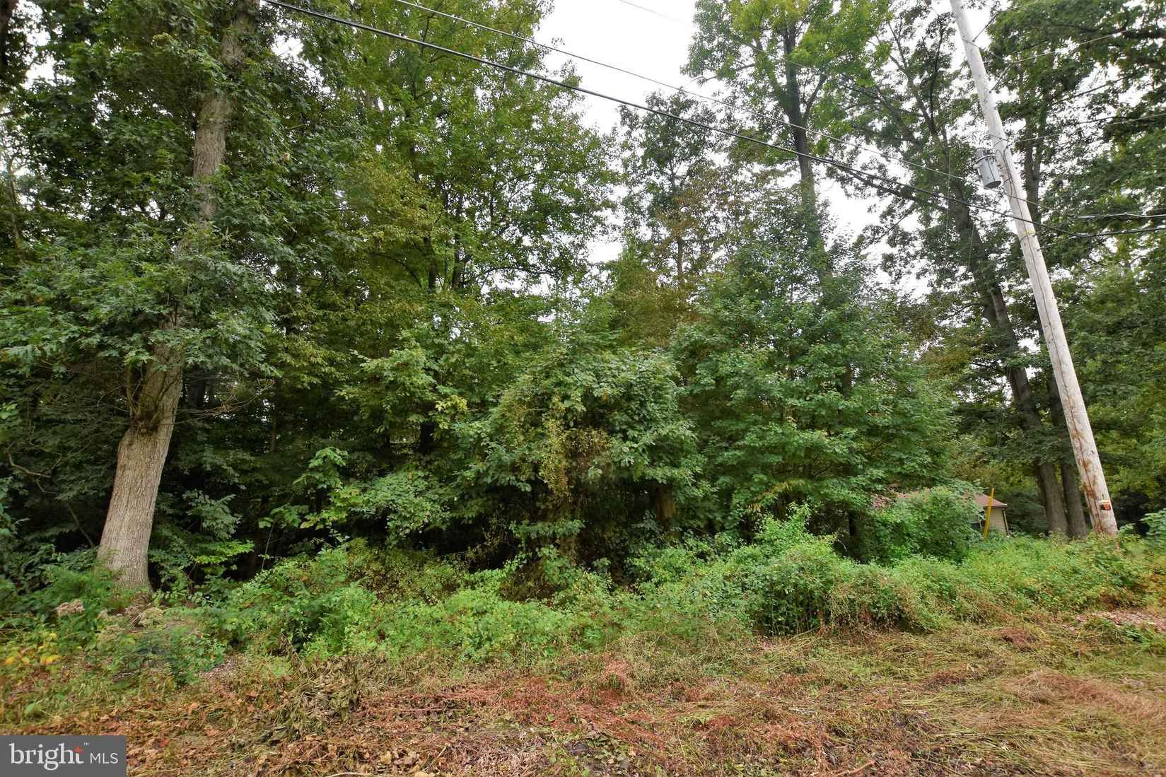 74 SEDGWICK Dr  
