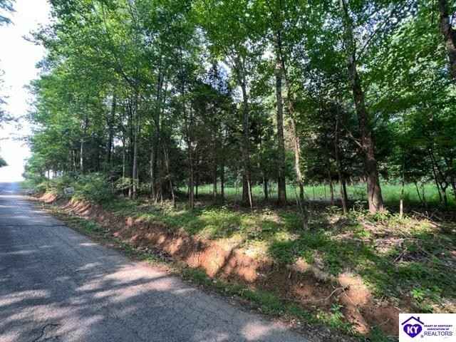 71 Wyandotte Rd  