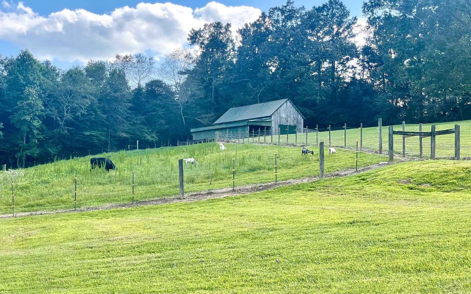 7135 HIGHWAY 136 WEST  