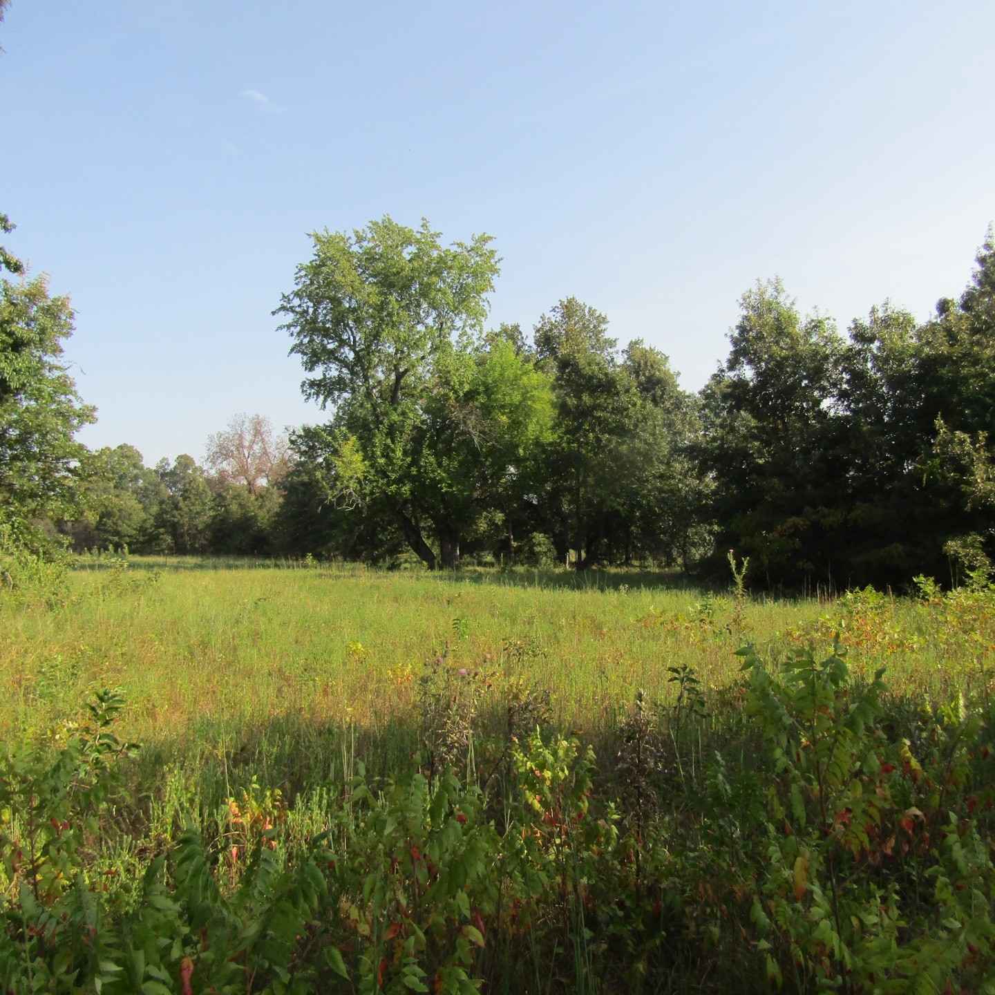 E 2090 Rd Rolling Hill Ranches Phase 2 Lot 5  