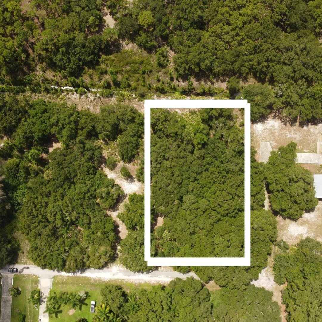 411 Poinciana Dr  