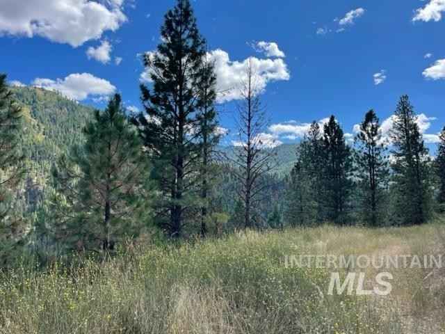 Tbd Eddy Creek Rd Lot 1  