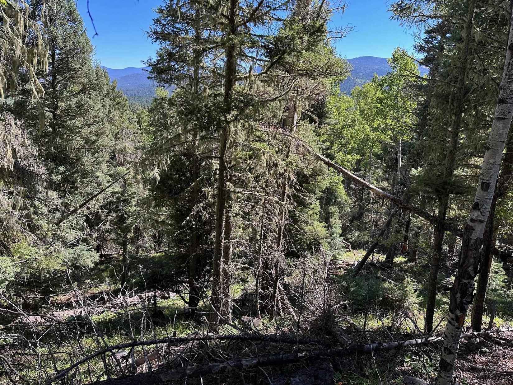 Lot 358 Taos Dr  