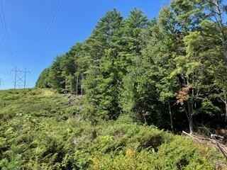 Lot Unit 2 Back Rd  