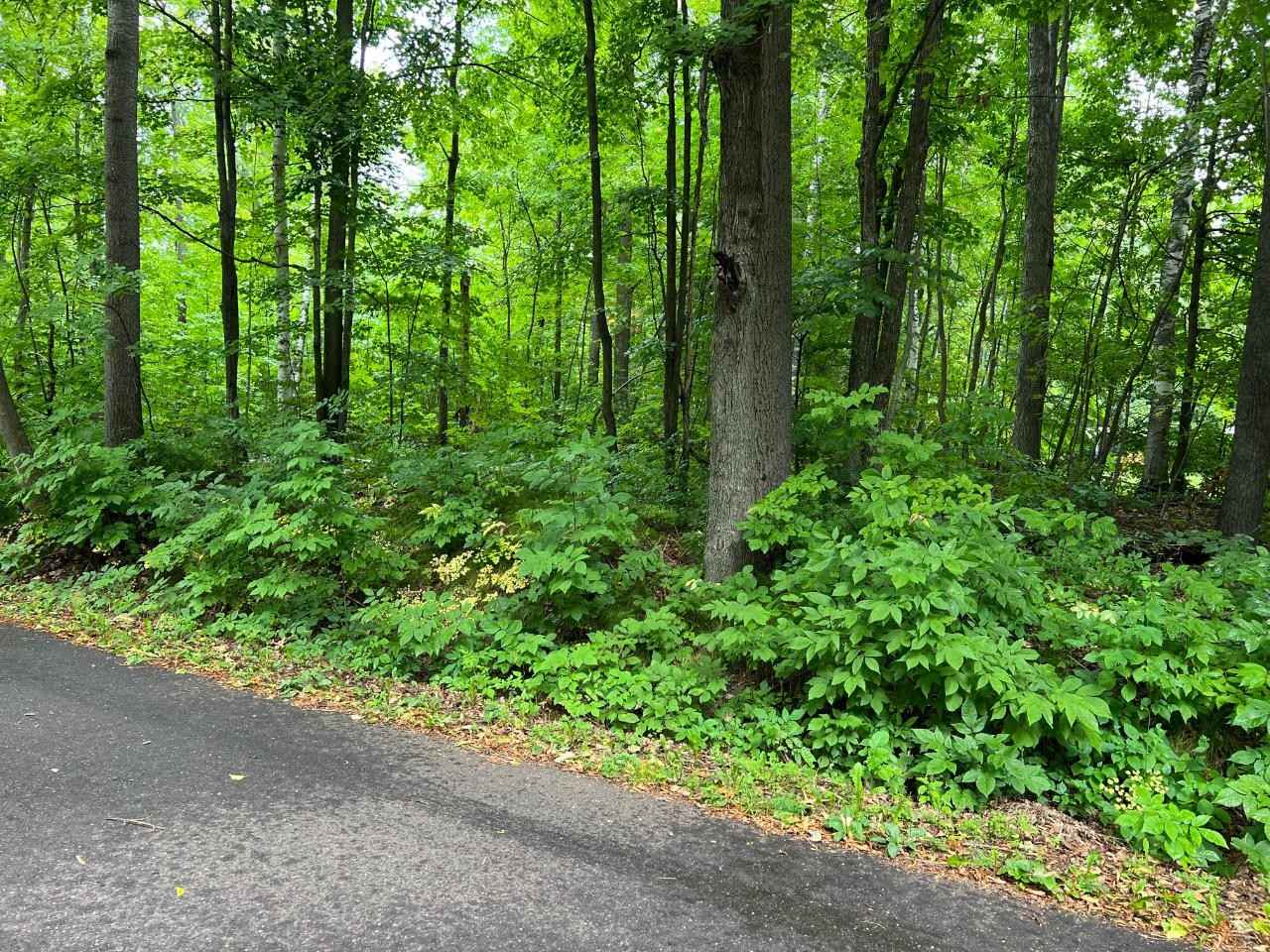 LOT 7 Ml RD  