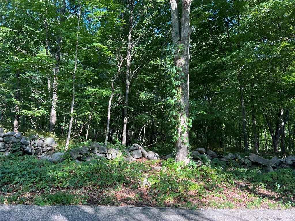 6 Wormwood Hl Rd  