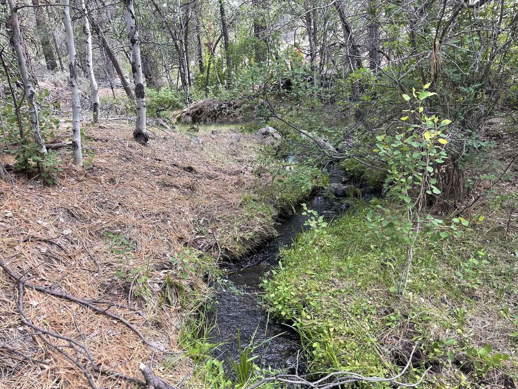 HWY 140 - Lakeview Hwy  