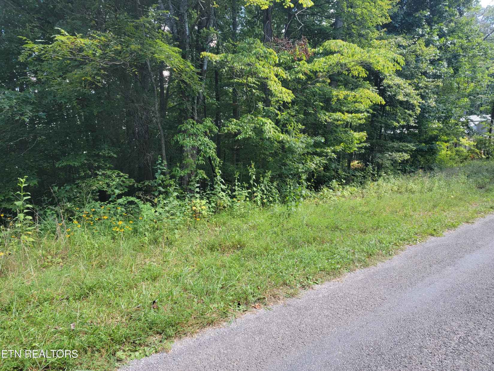 Lot 15 RIVERVIEW Rd  