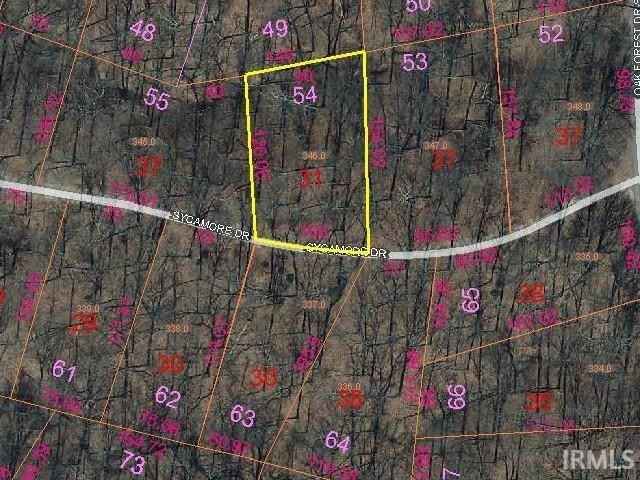54 Sycamore Dr  