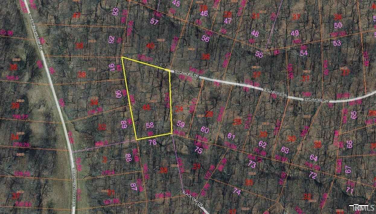 58 Sycamore Dr  
