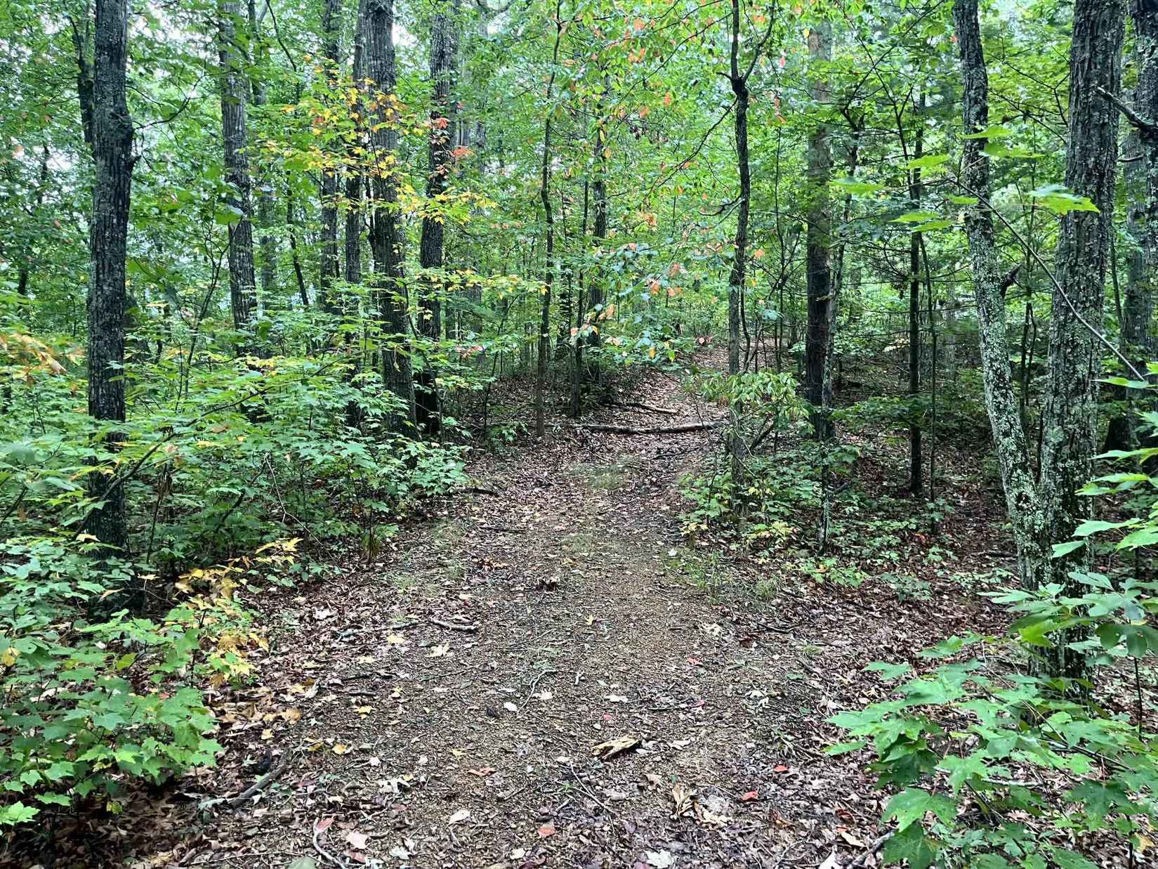 305 STUPLES Holw RD  