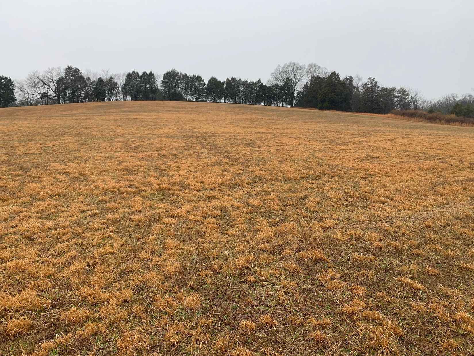 0 Old Washington Hwy  