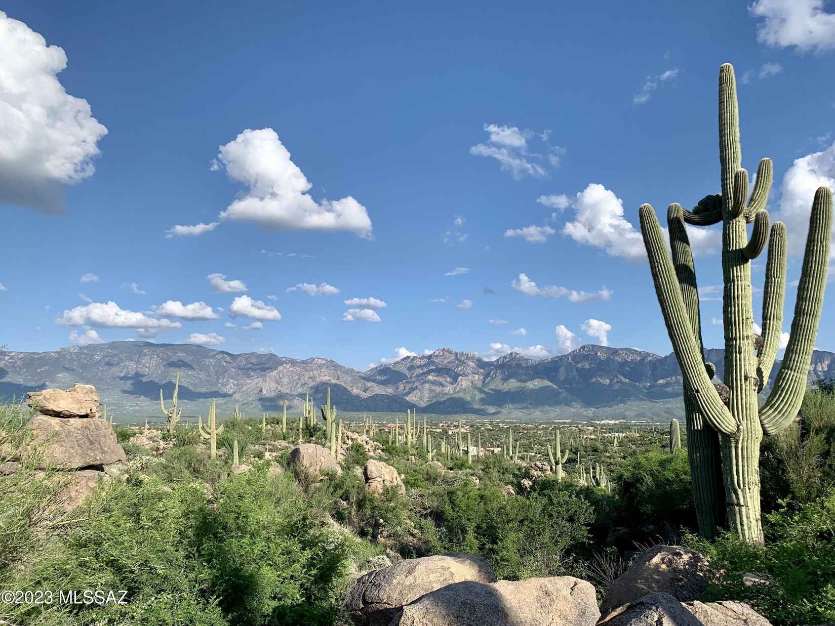 1741 Tortolita Mtn Cir  