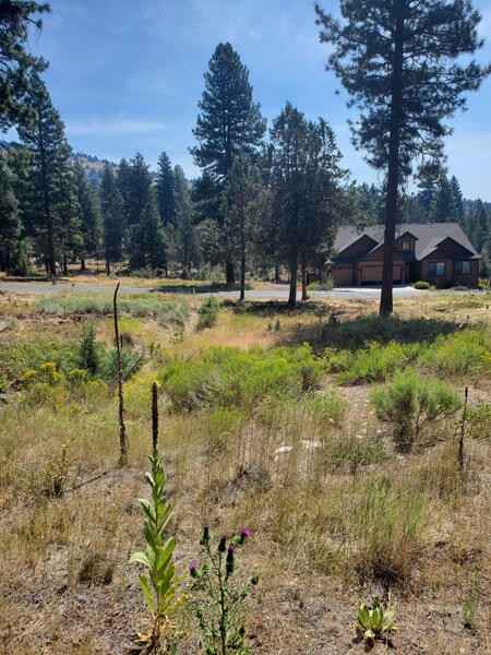 1077 Timber Ridge Loop  