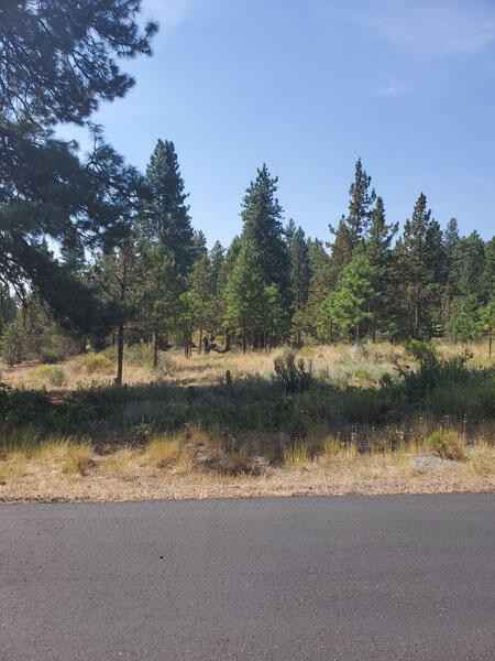 1090 Timber Ridge Loop  