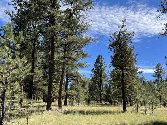 82 Kiowa Cir  