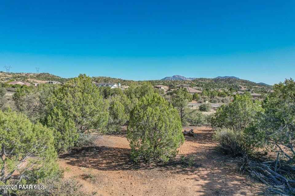 12815 N Chancella Cir  