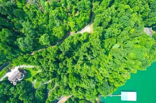 Lot 14 Diamond Pointe Dr  