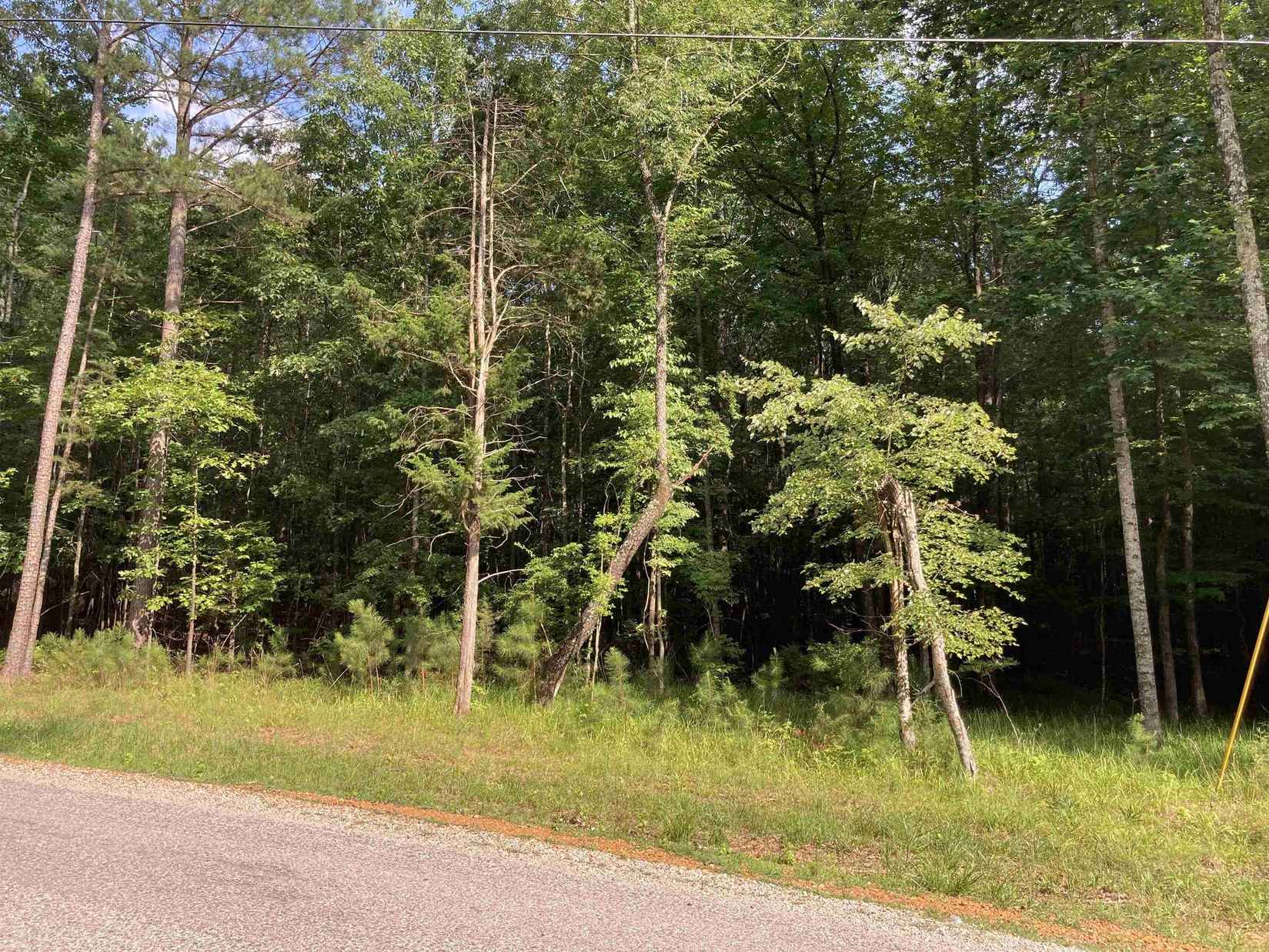 LOT 55 TIMBER Rdg  
