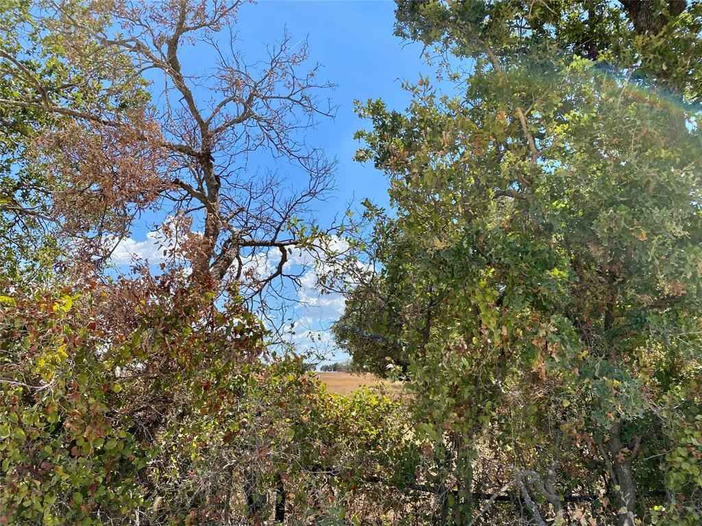 915 Co Rd 226  