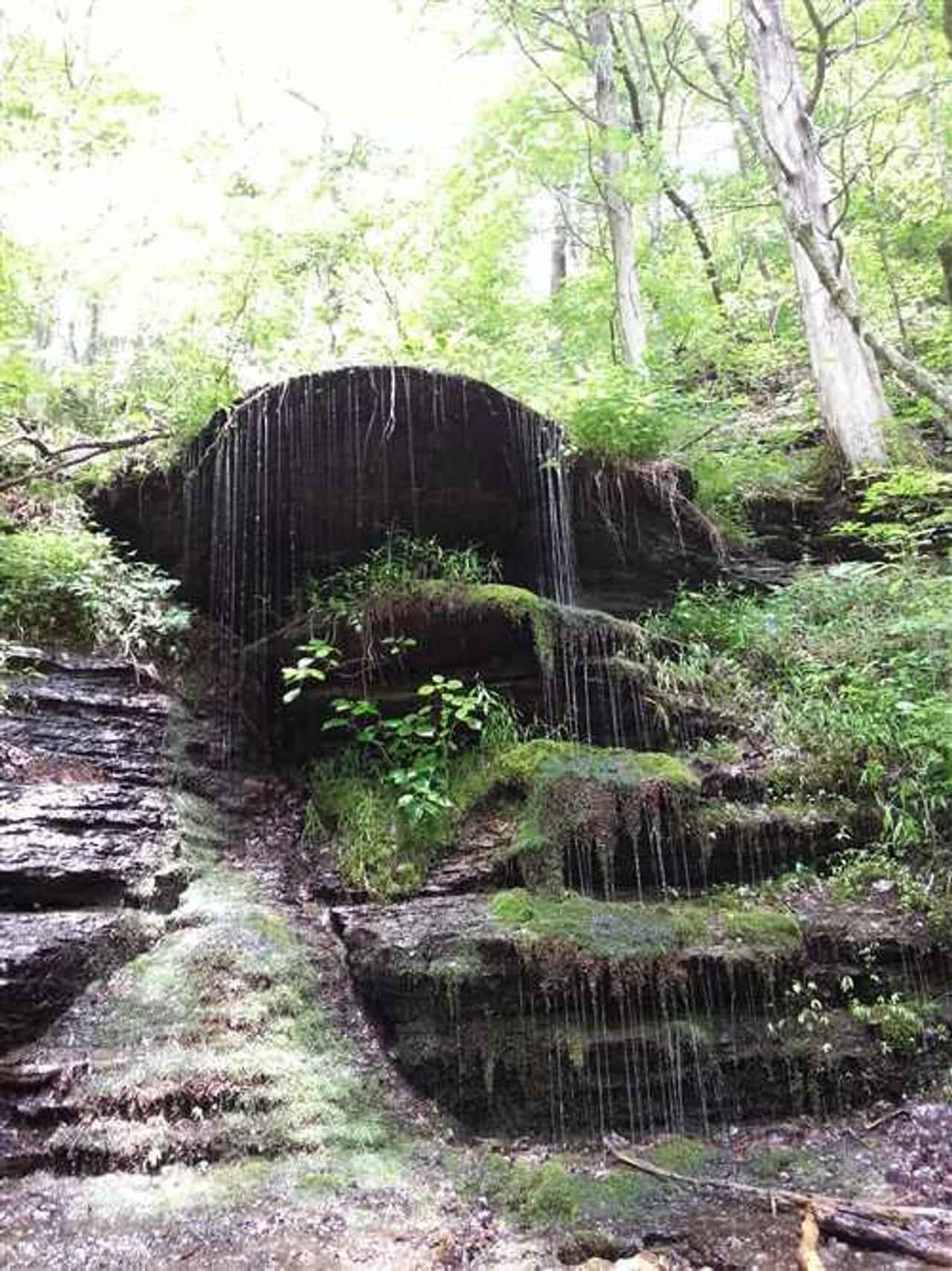 3482 Waterfall Crk Rd  