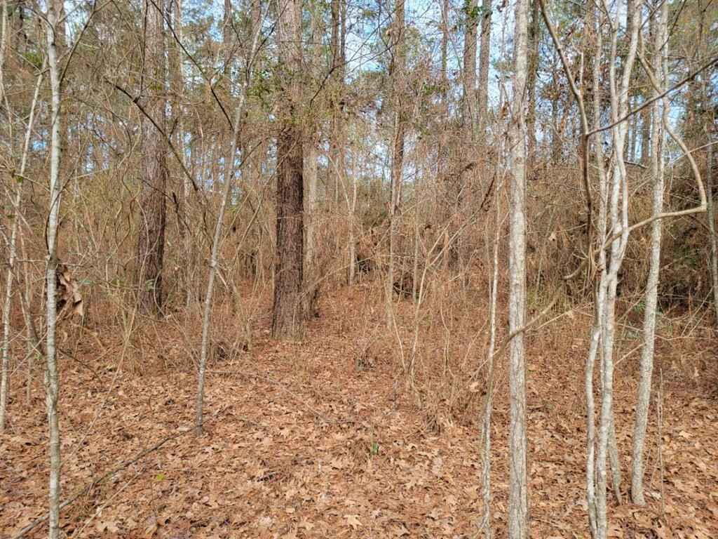 Lot Unit 9 Parker Dr  