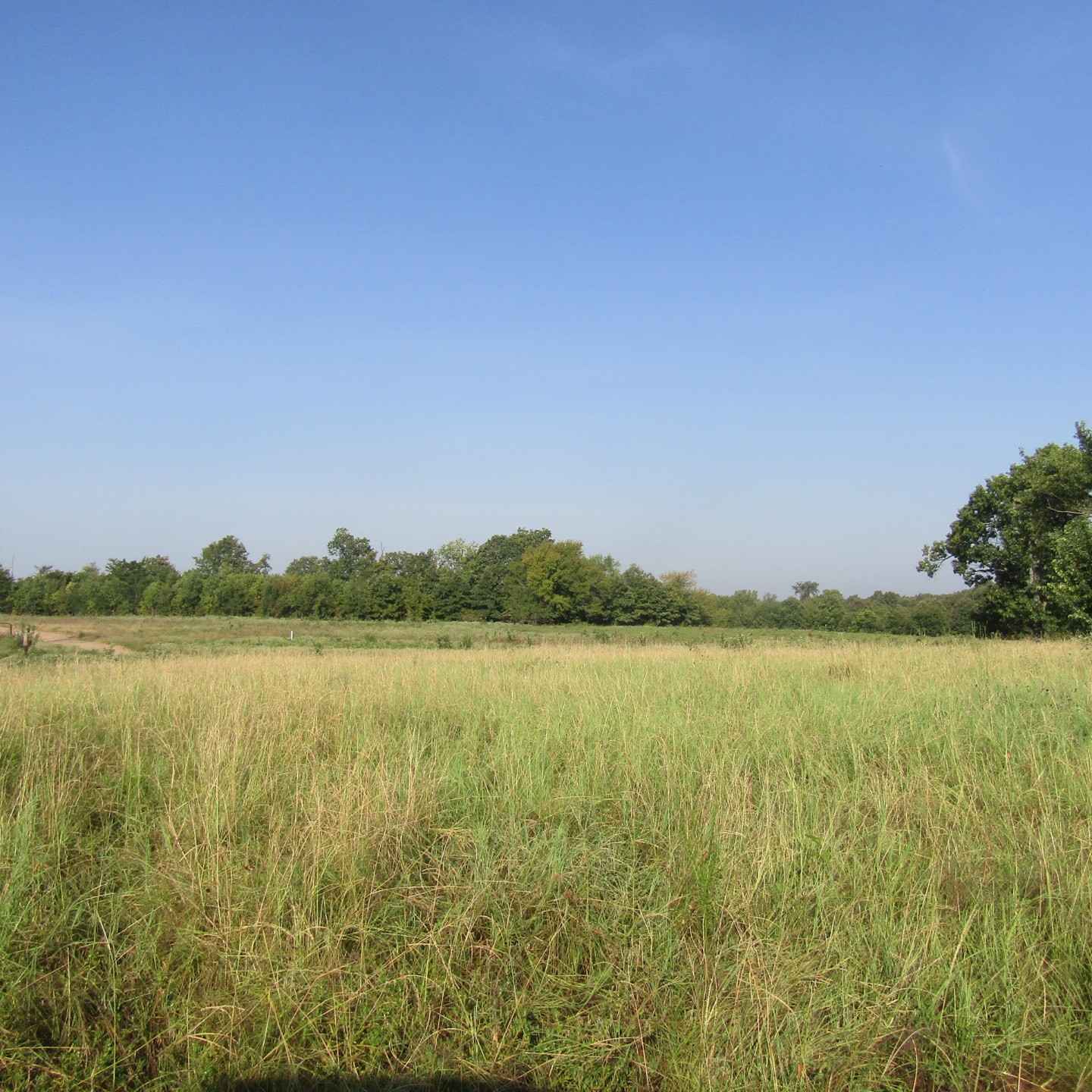 E2090 Rd ROLLING HILL RANCHES DEVELOPMENT PHASE 2  