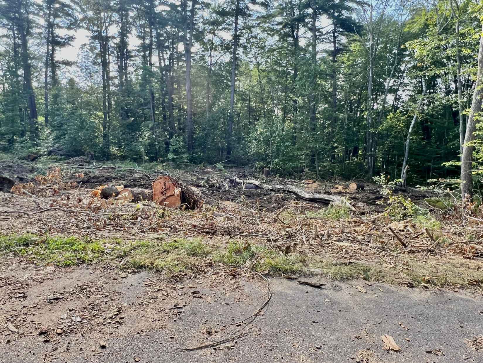 Lot 9 Bay Fld Rd  