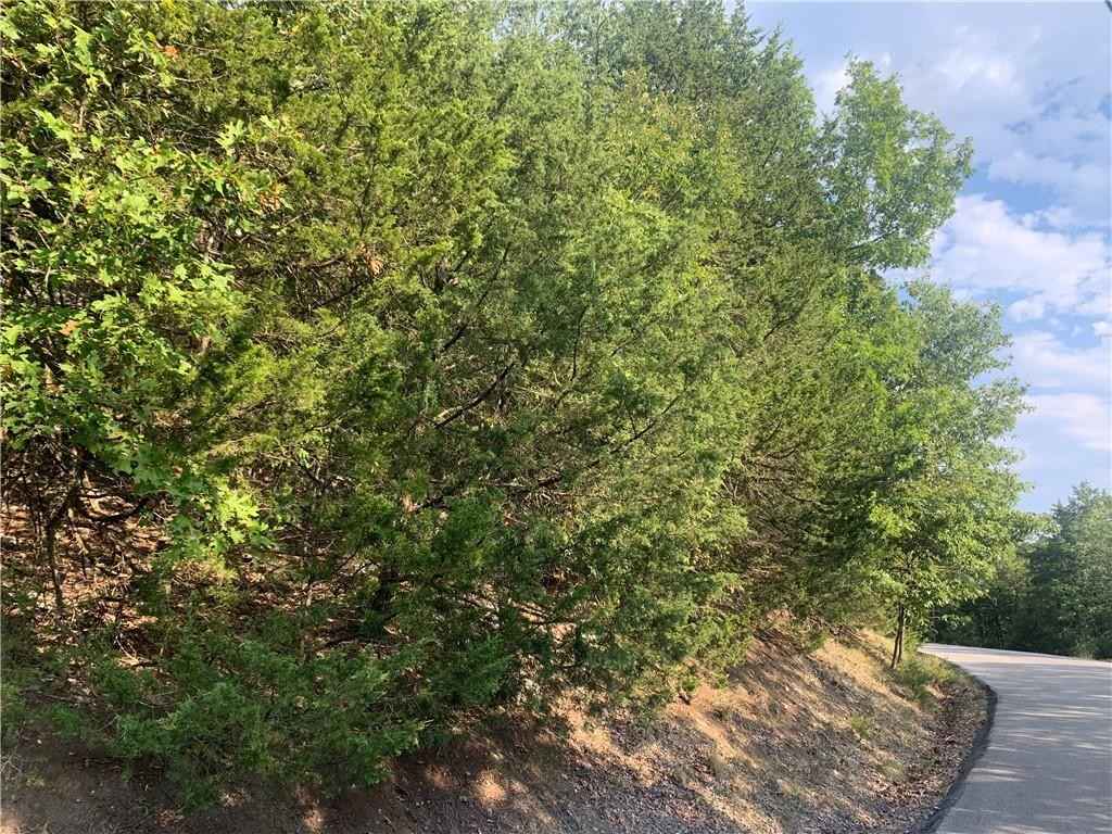 Lot 61 Pne Dr  