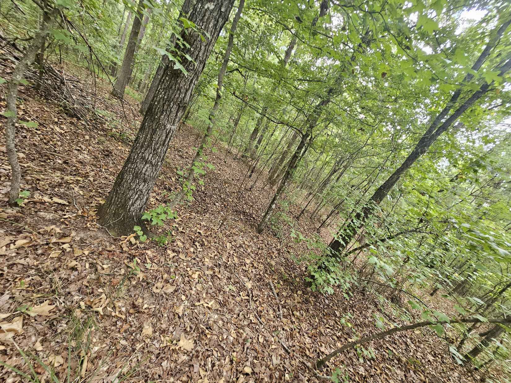 0 WOODS RD  
