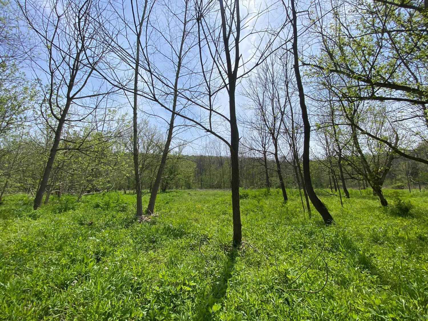5596 Vaughn Rdg Rd  