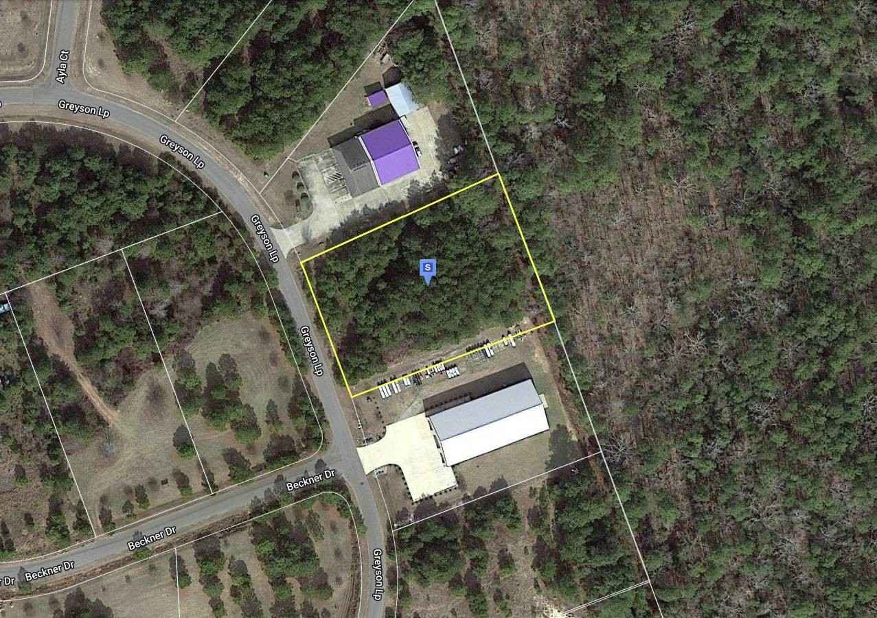 133 Greyson Loop  