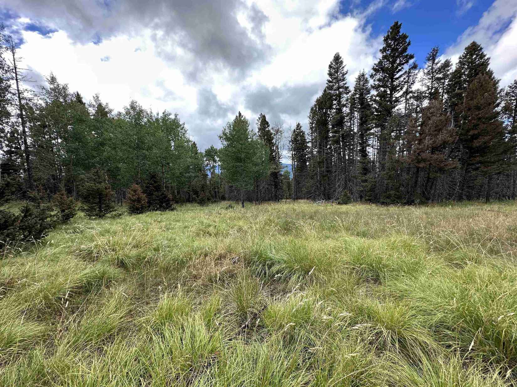 Lot 1290 El Camino Real  