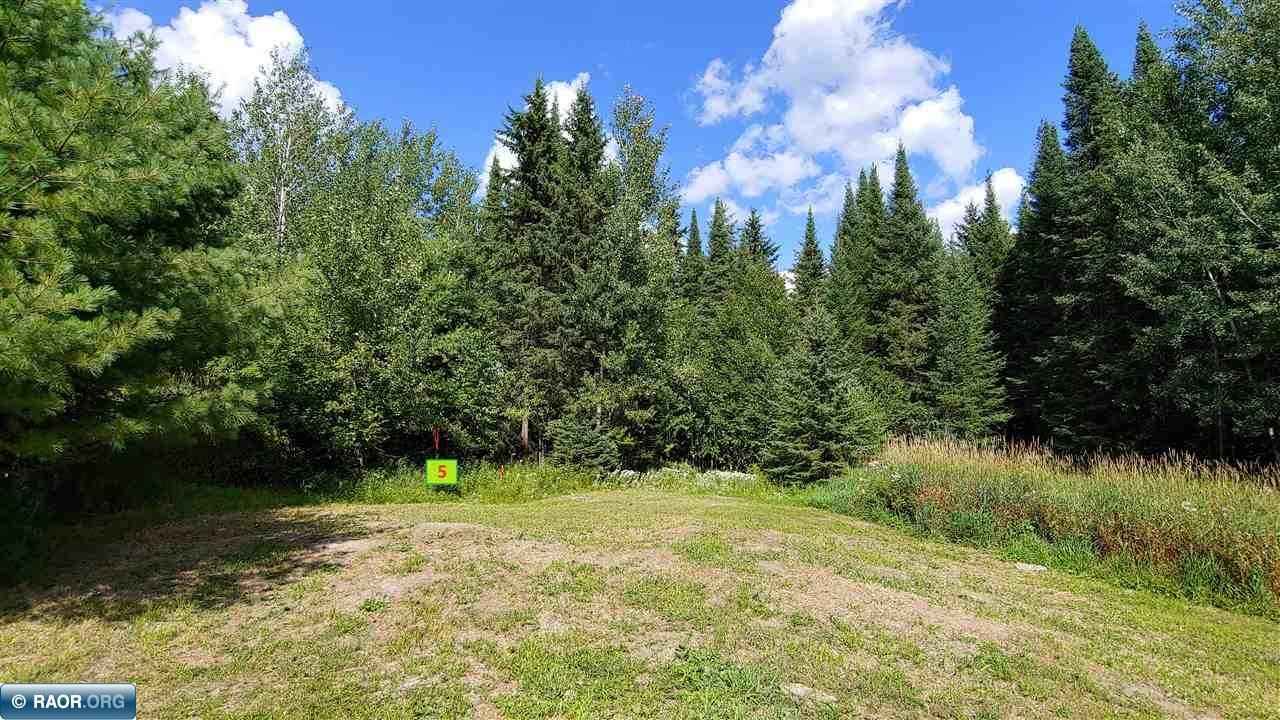 10339-Lot 5 Ash Riv Trl  