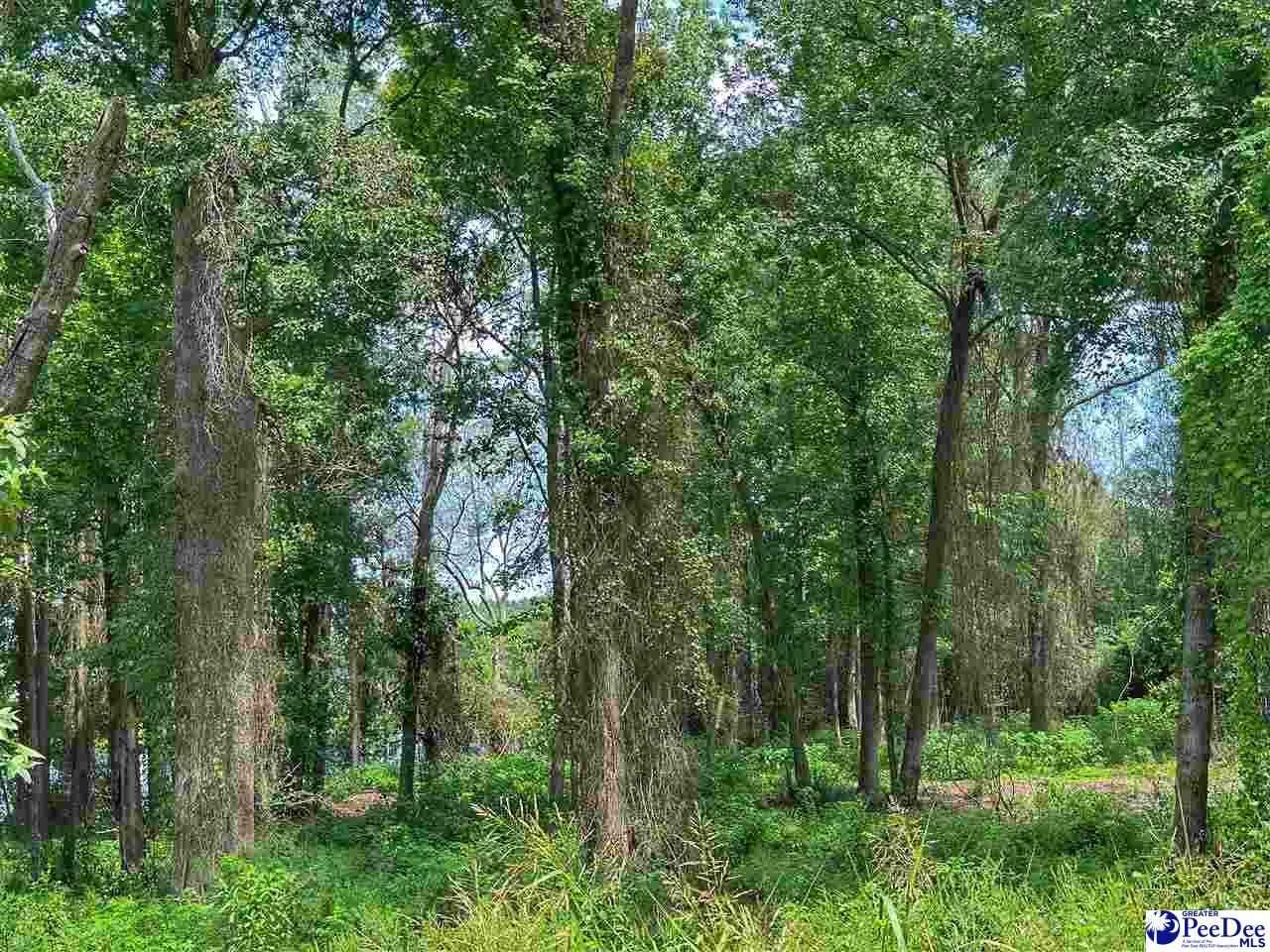 Lot 53 54 McLaurin Lk Cir  