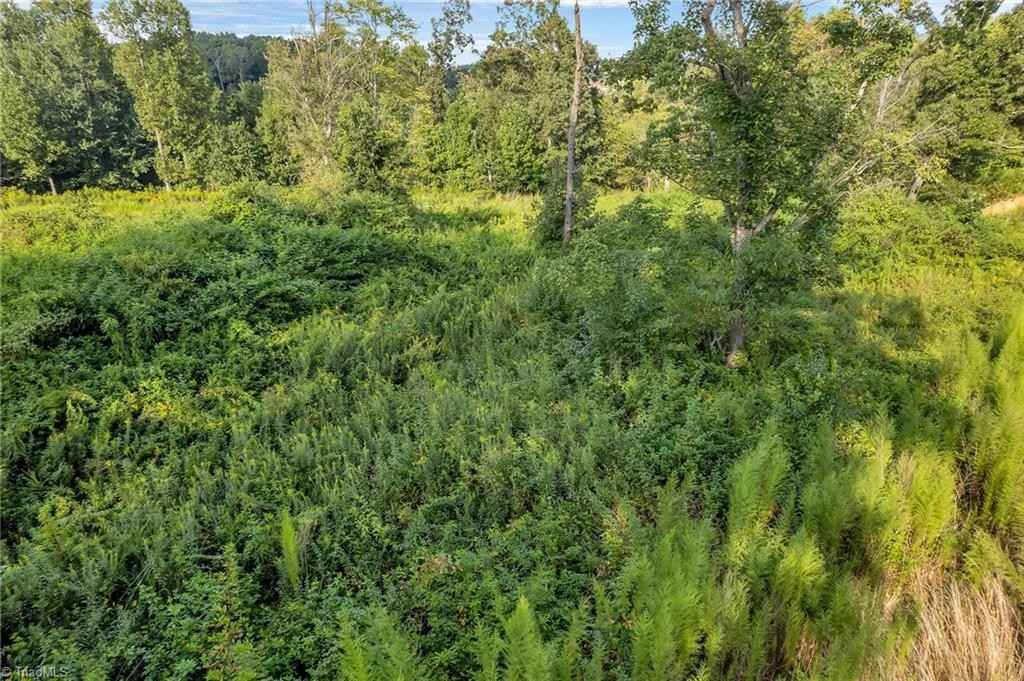 Lot 24 Regal Oaks Dr  