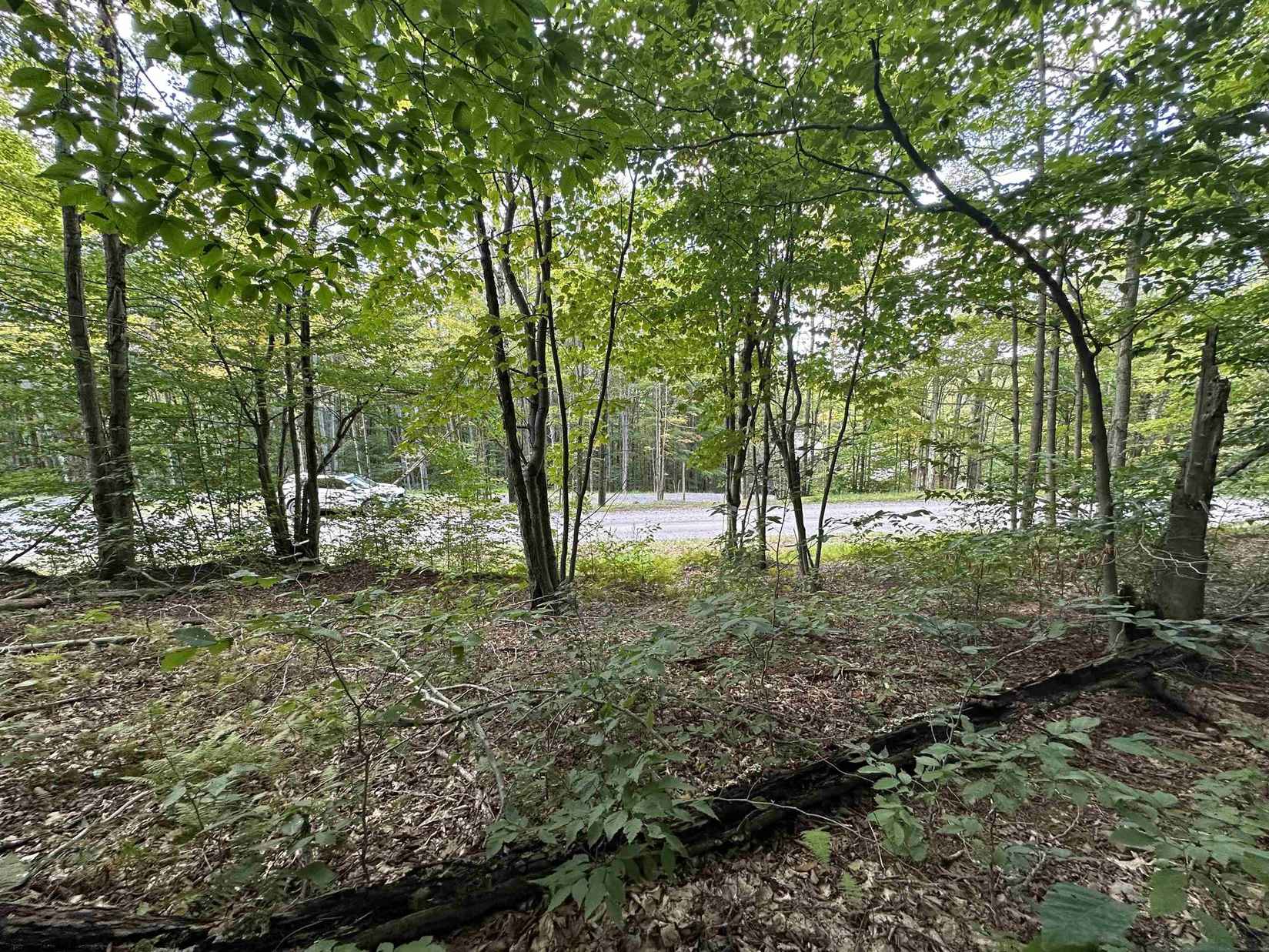 Lot 123 Fern Ln  