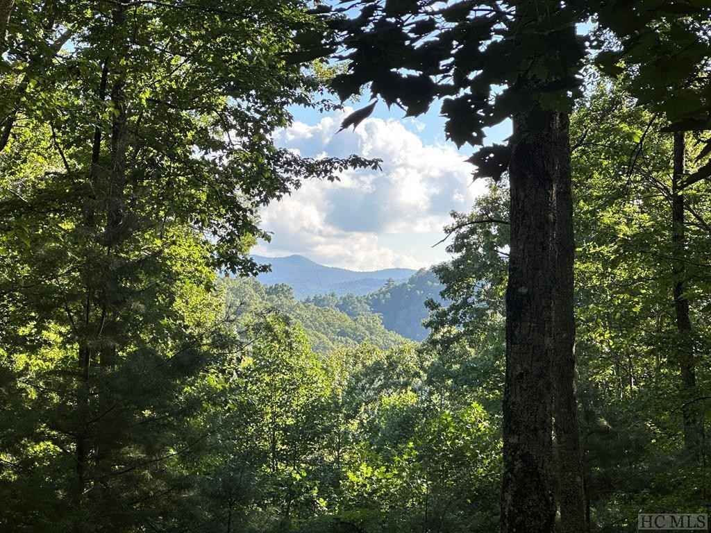 Lot 59 Beechfern Dr  