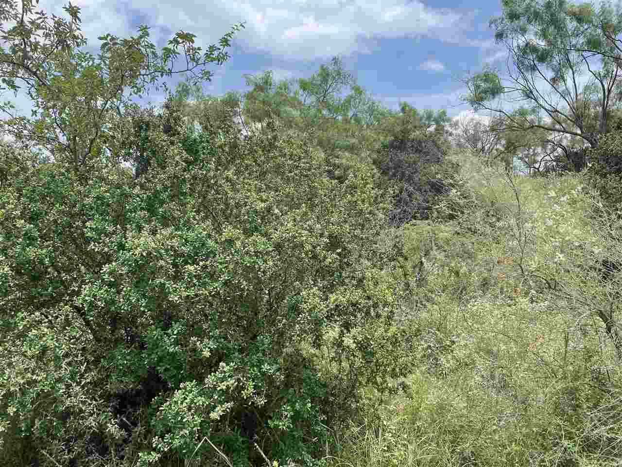 Lots 112 113 Cedarhill Dr  