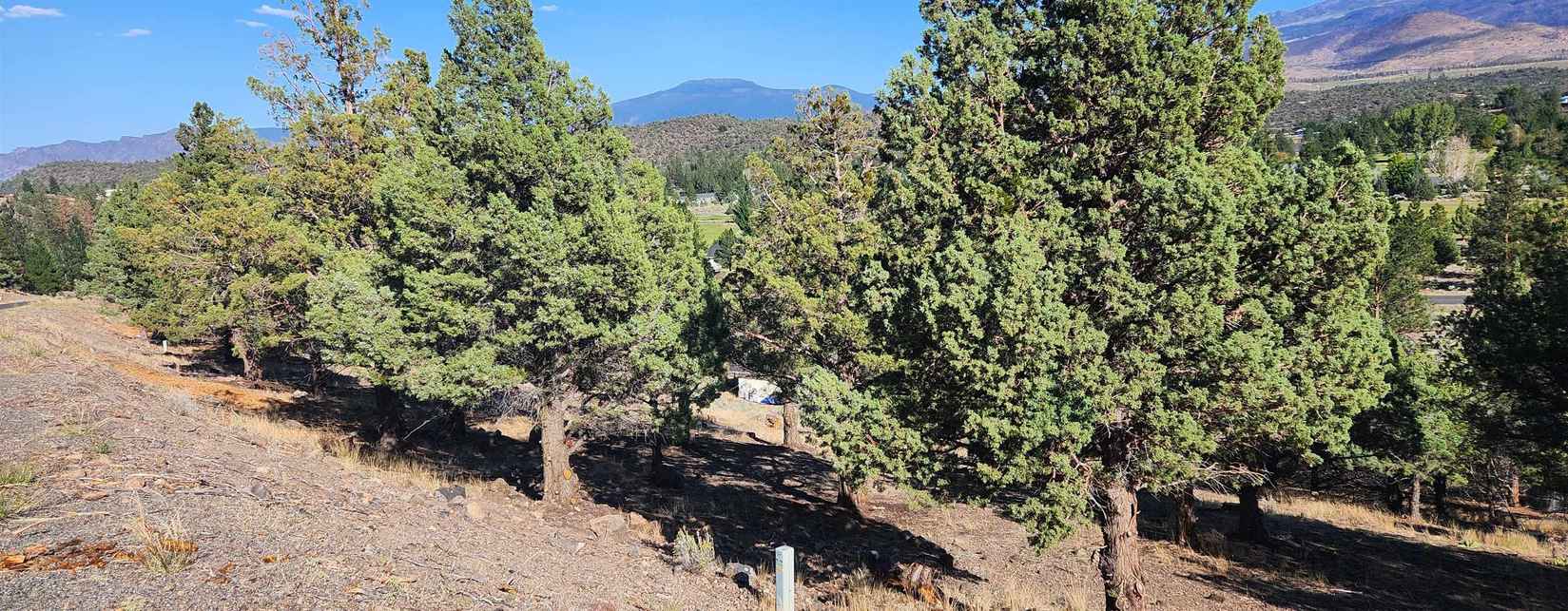Lot 154 Stag Mtn  