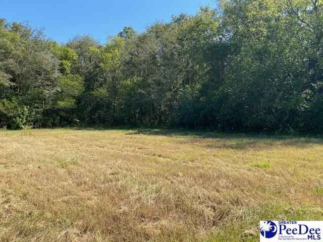 Lot 31 4 81 acres TBD Southern Dr  