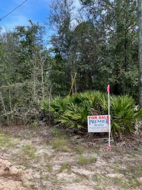 00 Pine Mountain RD/ Spg Crk  