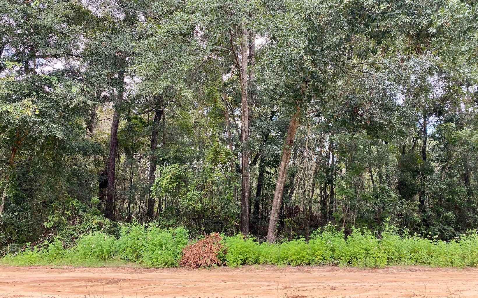 LOT36 NW BLUE OAK Ln  