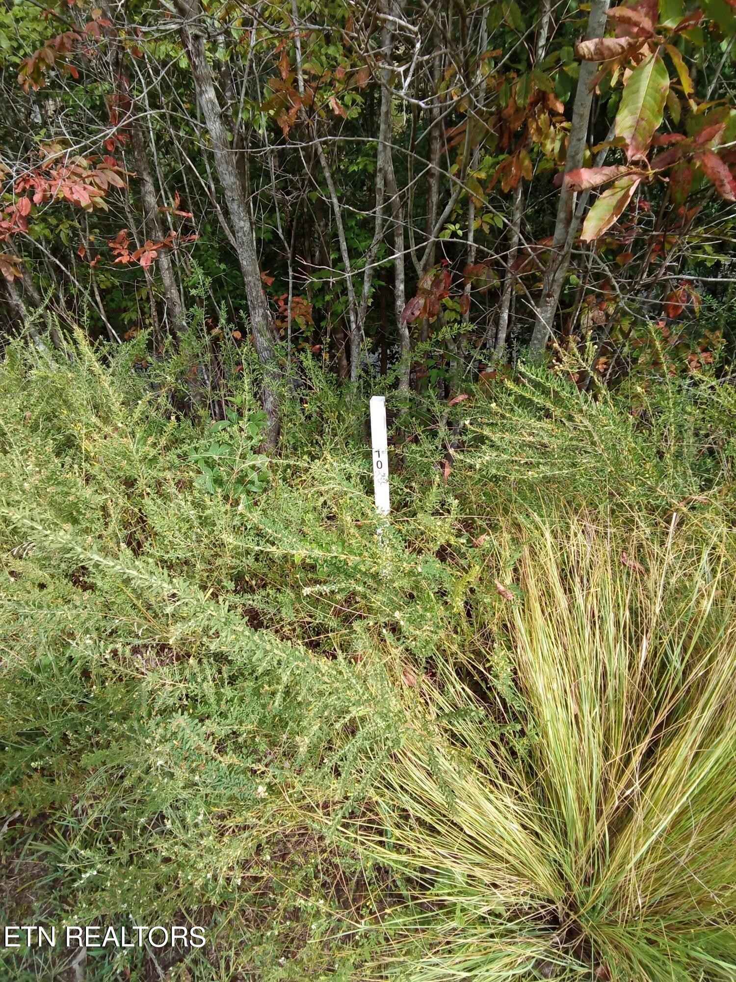 Lot 10 Emerald Point Cir Cir  