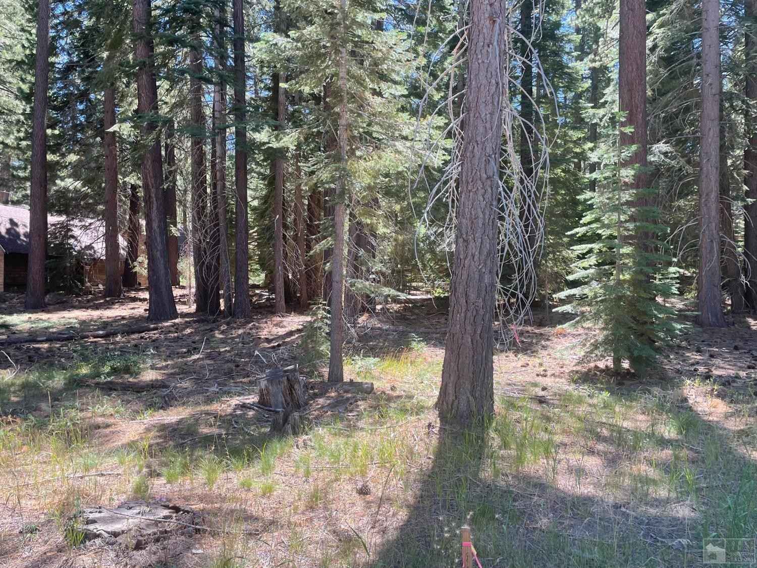 576 Emerald Bay Rd  