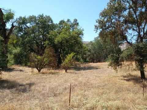 37435 Squaw Vly Rd  