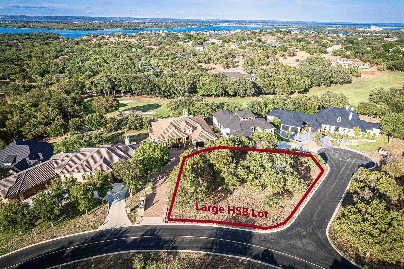 Lt W28062 Black Stallion  