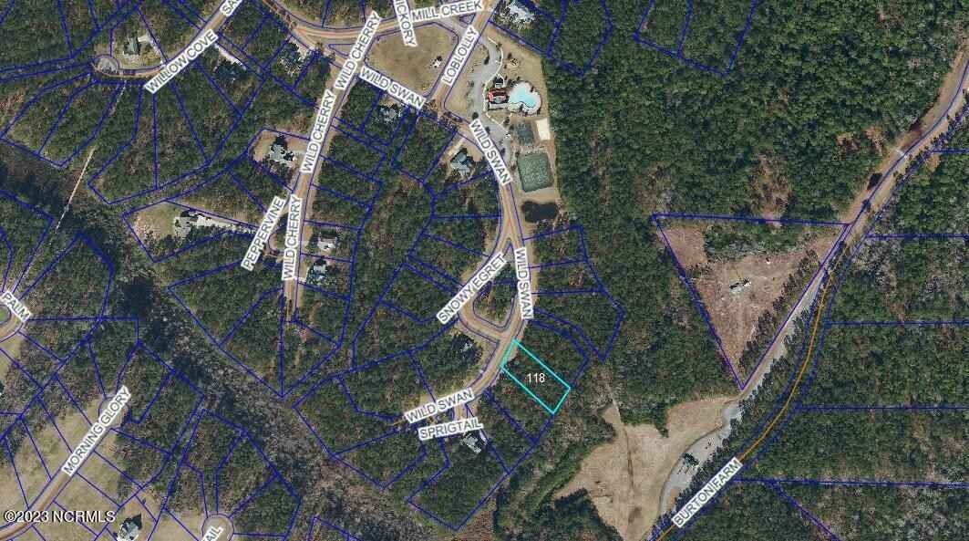 301 Wild Swan Ln  