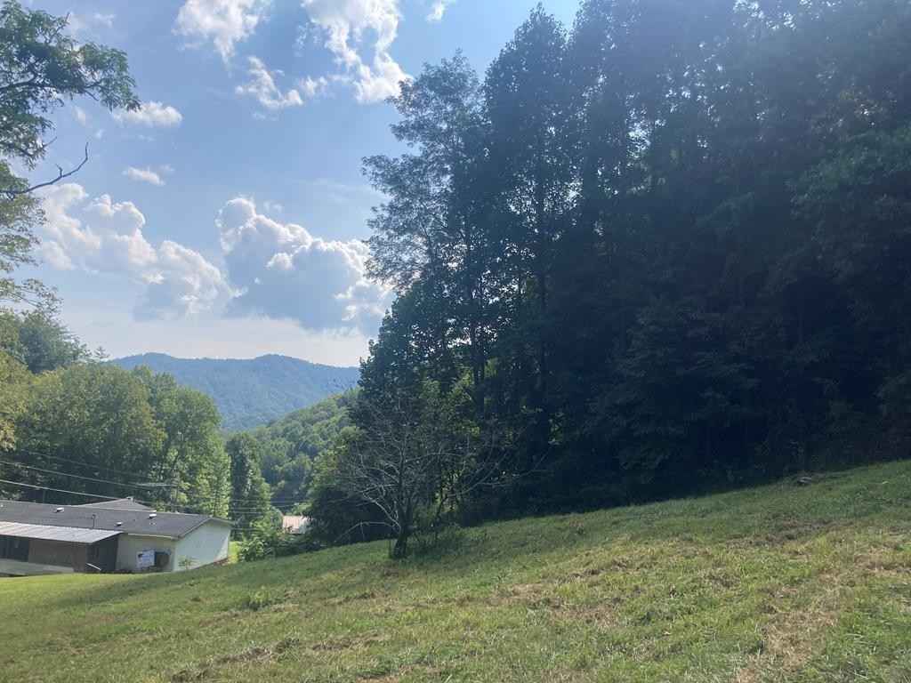Lot 11 Cody Br Rd  