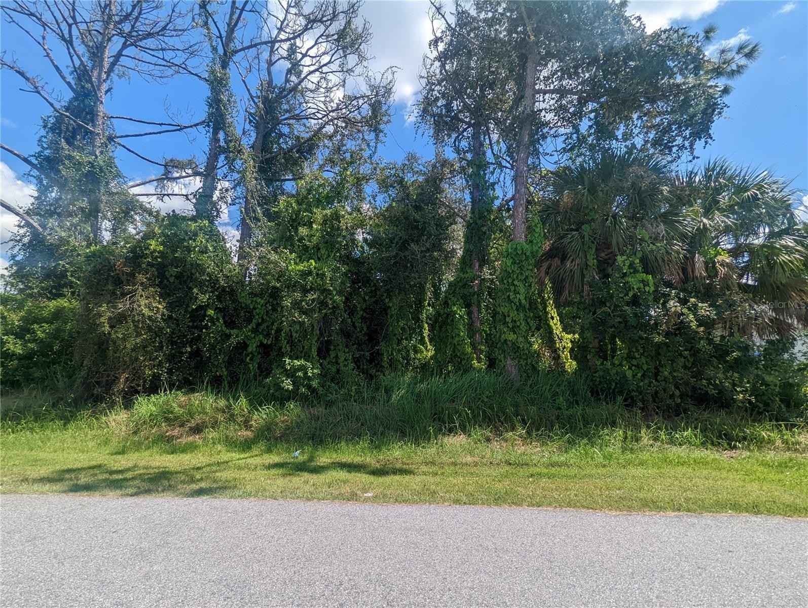 CRITTENDON LOT 14 St  